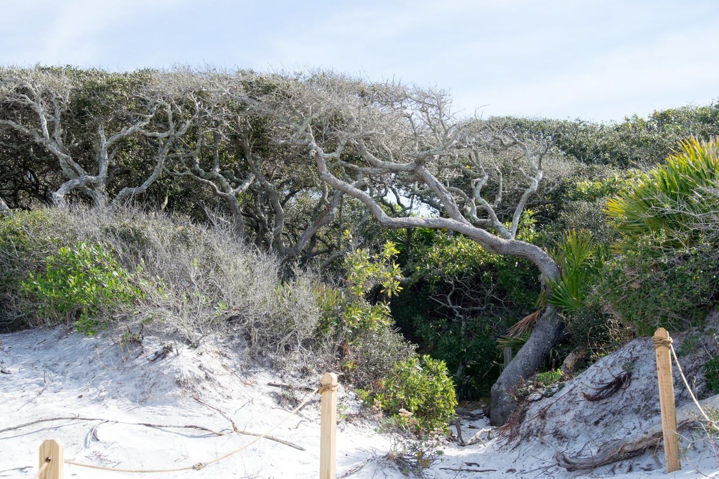 Grayton Beach State Park dune trail, archival area context