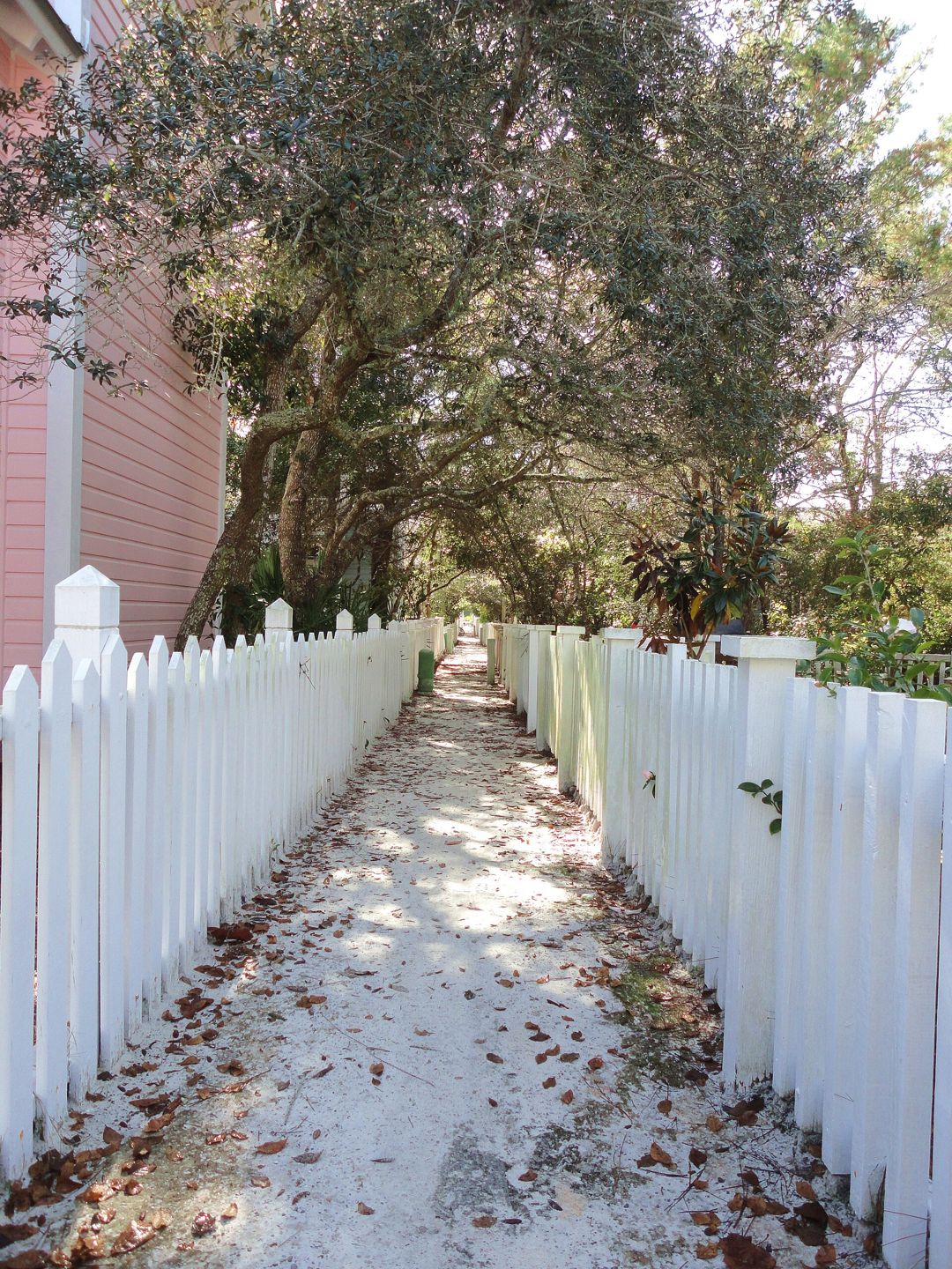 Narrow sandy pedestrian alley between white fences and houses in Seaside.